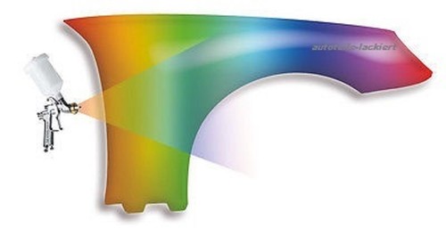 Parafango nel colore